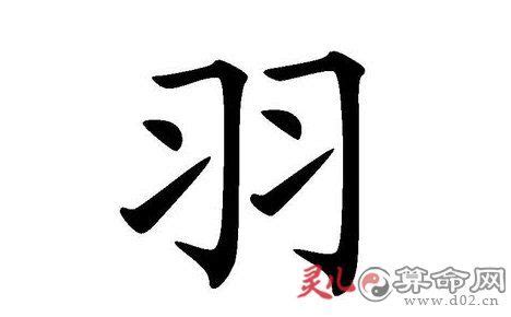 羽 名字|「羽」から始まる名字